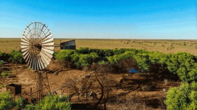 Bowen Downs QLD