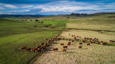 Mooresprings NSW