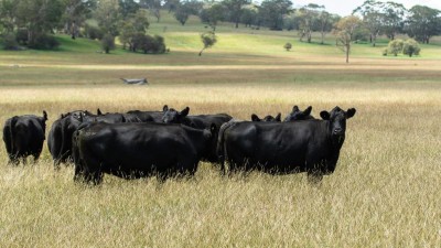 Oakholme NSW