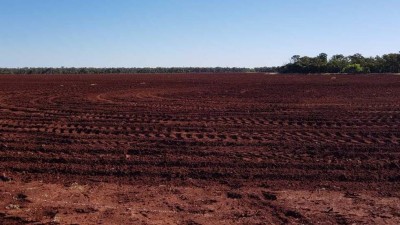 Solferino QLD