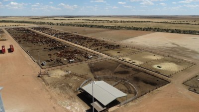 WestBeef Feedlot WA
