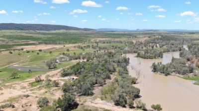 Acacia QLD