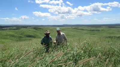 Develin QLD