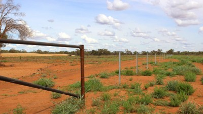 Windella NSW