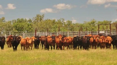 Yatton QLD