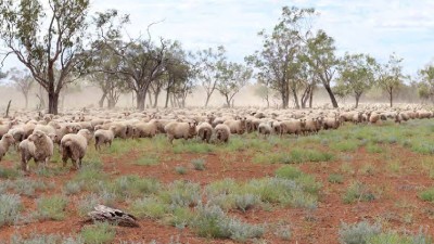Abbadoah QLD