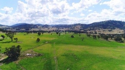 Avenue Flat NSW