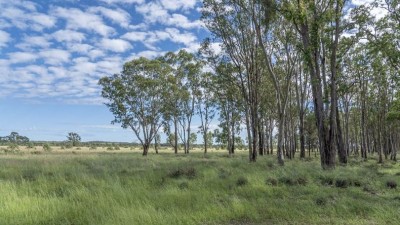 Kurrajong QLD