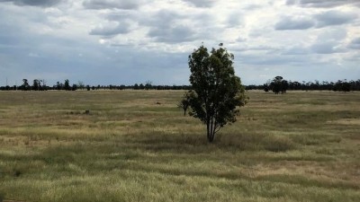 Redford QLD