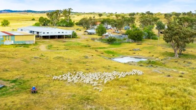 Terrica Aggregation QLD