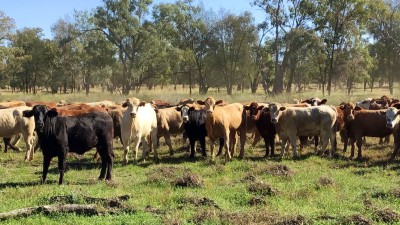 Brookdale Aggregation QLD