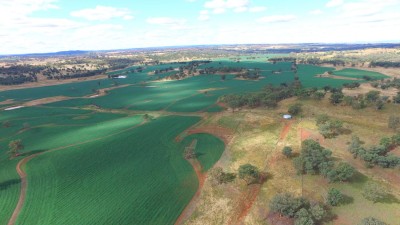 Arrawatta Station NSW