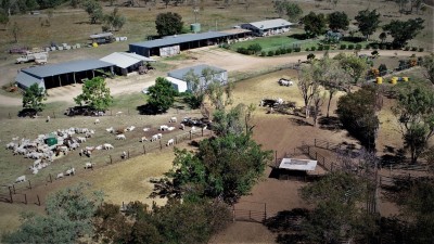 Burlington Station QLD