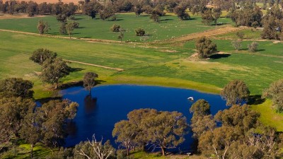 Kywong NSW