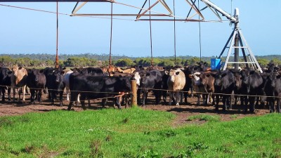 Milyeanup WA