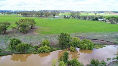 Coomerang (Penrose) NSW