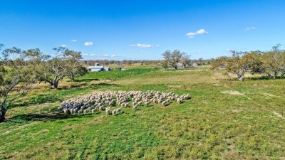 Beanbah and Edale NSW