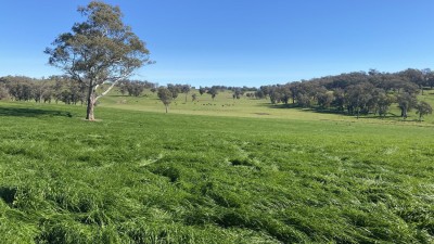 Woodleigh NSW