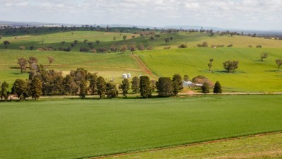 Moeyan NSW
