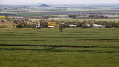 Mount Nombi NSW