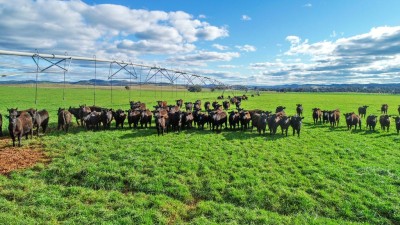 Warragundi Aggregation NSW