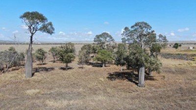 Burngrove QLD