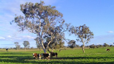 Calgara Station SA