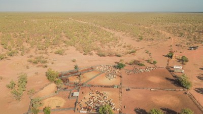 Claraville Station QLD