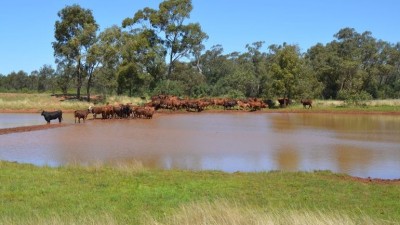 Florida Station NSW