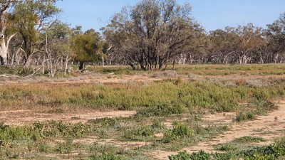 Locksley NSW