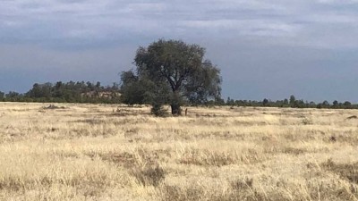 Murilla South QLD