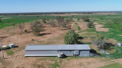 Narran NSW