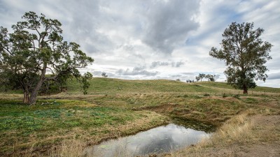 Orange Grove NSW