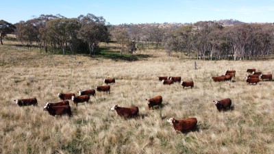 Wyandra NSW