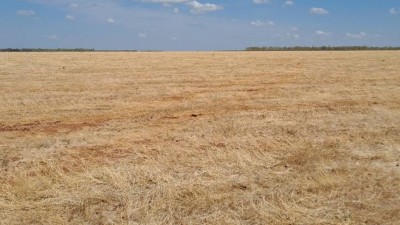 Dixie Station NT