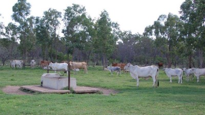 Harvest Home Station QLD