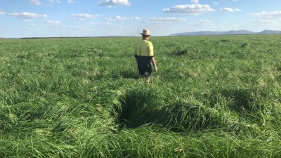 Keep Plains Agricultural Development NT