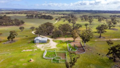 Red Creek SA