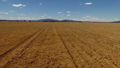 Weroona NSW