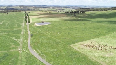 Bellwood NSW