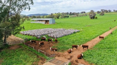 Culbara NSW
