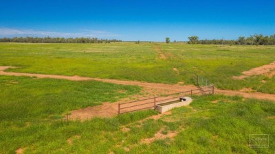 Eulorel QLD