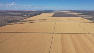 South Callandoon QLD