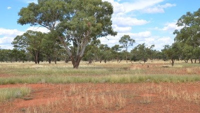 Stanifords NSW