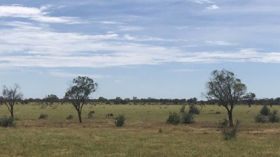 Culburnie QLD