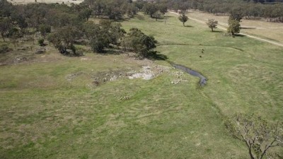 Rocky Creek Aggregation NSW