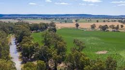 Yamminga Aggregation NSW