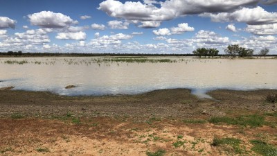 Carellan QLD
