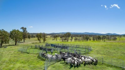 Culgoa NSW