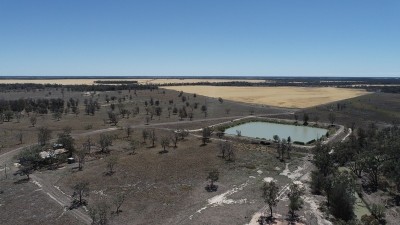 Kelvington NSW